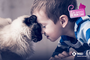 Photo n°11 de Intervet S.A (MSD Santé animale) à Beaucouzé (Laboratoire pharmaceutique)