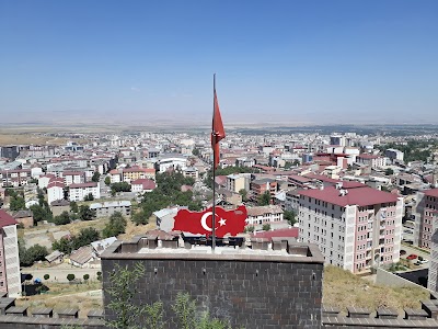 Muş