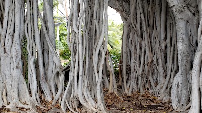 Waiʻalae Beach Park