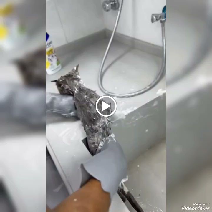 مركز الوشم للخدمات البيطرية - صورة 3