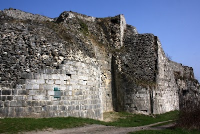 Castle at Moha