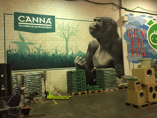 ORTUE GROWSHOP BILBAO BIZKAIA