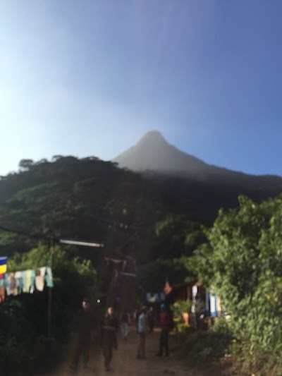 Photos of Goluthenna Tea Shop