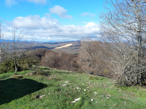 Marabileta - Visual