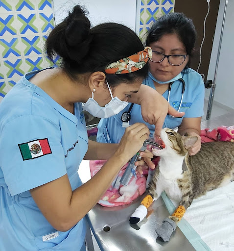 Hospital Veterinario del Mayab