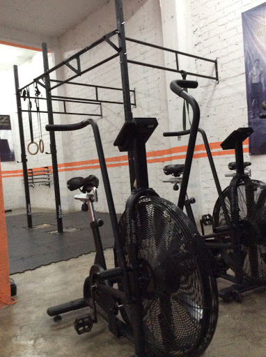 Elite Fitness Minotauro
