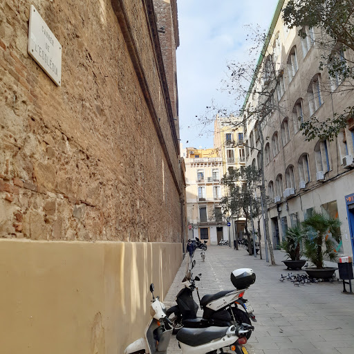 Coma Barcelona - Visual