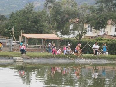 Photos of Bambusa Ecoparque