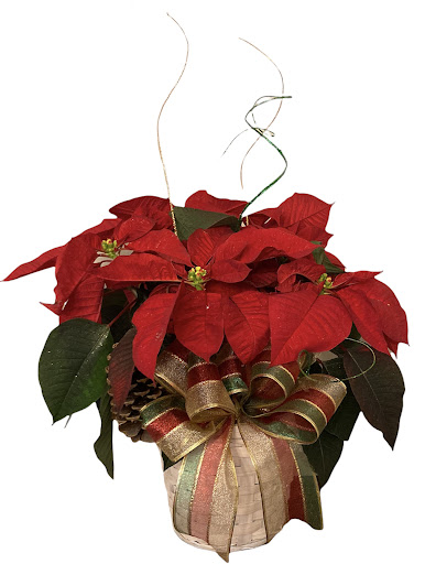 Limón Floral & Gifts - Thumbnail