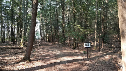 Lacawac Gallery - United States