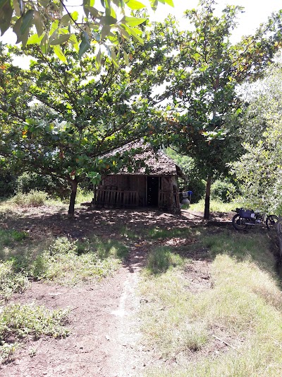 lodging
