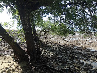 Photos of Pulau Popole