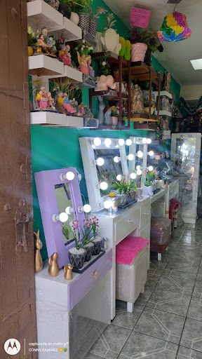 Muebles y decoraciones conny