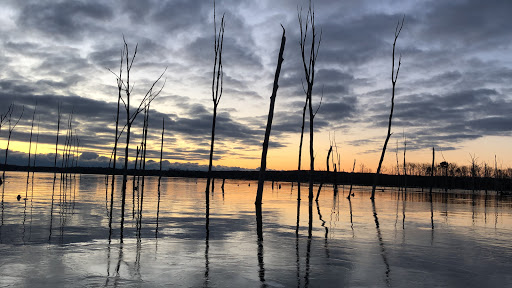 Chestnut Point Manasquan Reservoir - Thumbnail