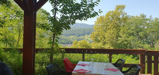 Photo 5 - La table de l'ours