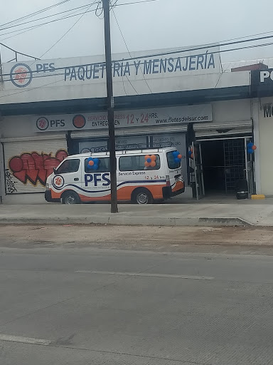 PFS Paquetería y fletes del sur Irapuato - Thumbnail