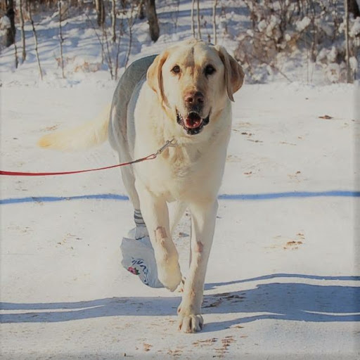 Hastings Lake Animal Hospital Gallery - Canada