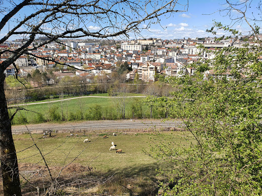 Photo de EHPAD Louis Taurant à Saint-Simon (15130)