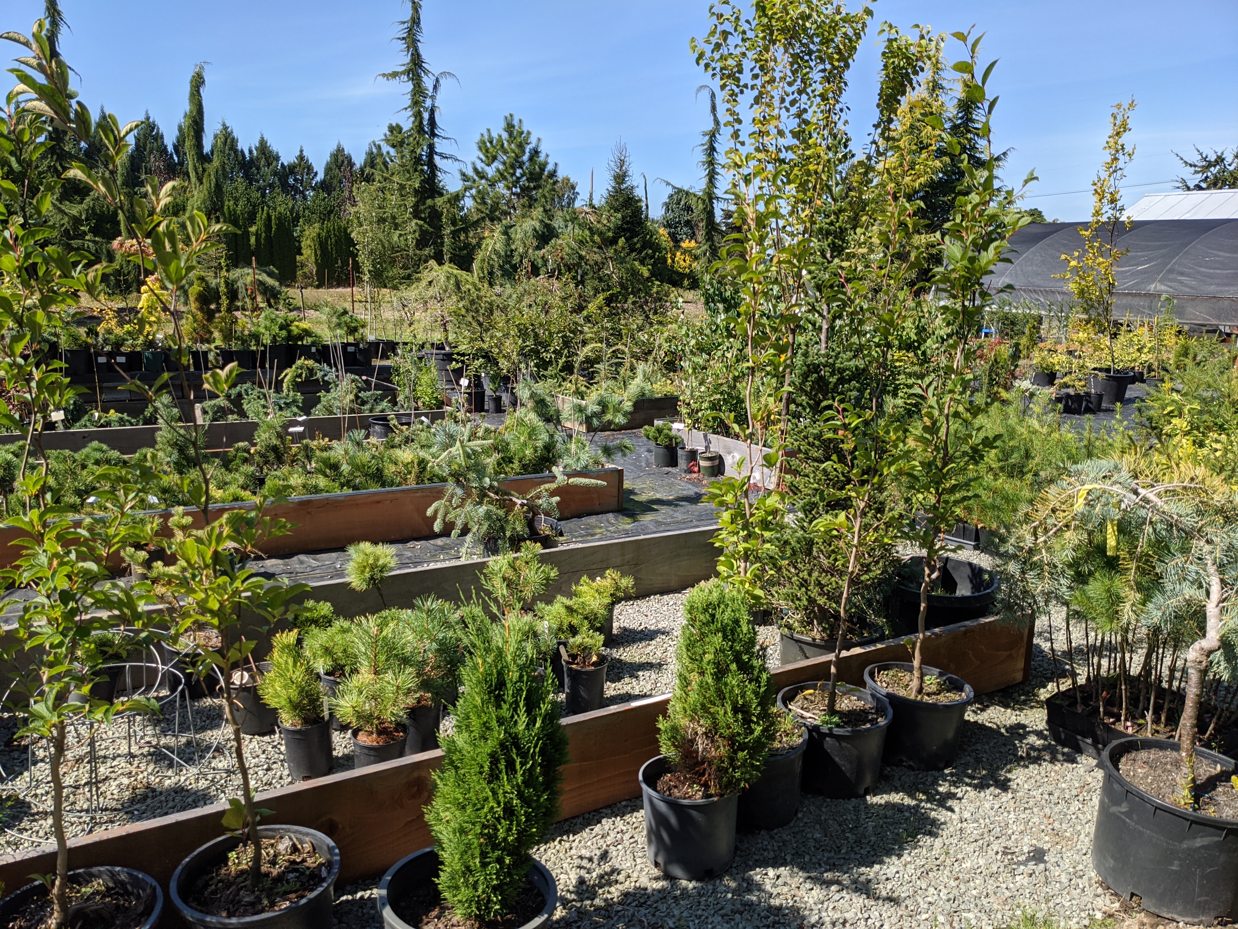 Burkland Gardens