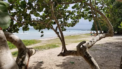 Photos of Hotel Playa Larga