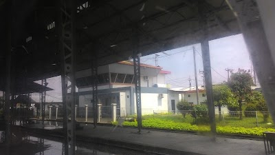 Photos of CV.Gading jati/penawaran kayu glondong