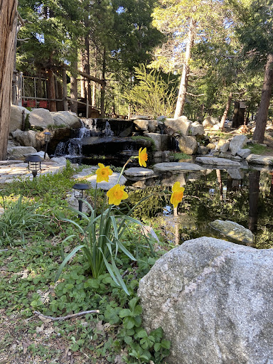 Arrowhead Pine Rose Cabins - Thumbnail