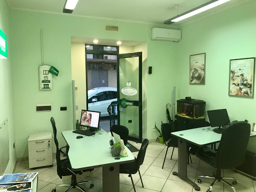 Agenzia Immobiliare Tempocasa Napoli - Cavalleggeri - Thumbnail