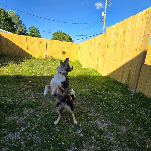 Custom Paws Pet Resort & Spa