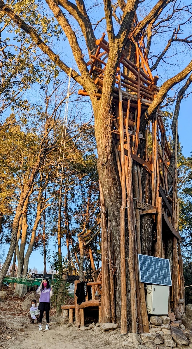 すまーと農園・えころっじKitsuki・キャンプ場