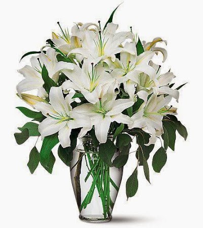 Photos of Mersin Flower 33