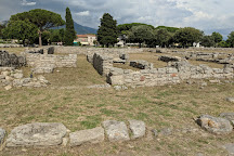 Anfiteatro Romano di Paestum, Paestum, Italy