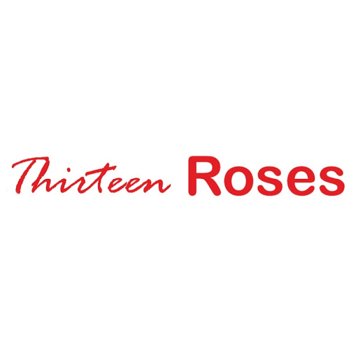Thirteen Roses - Visual