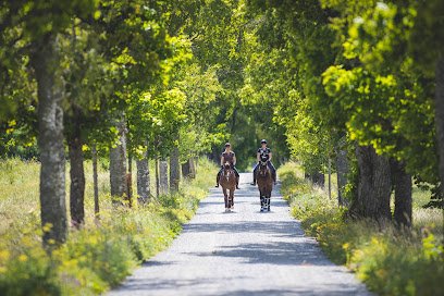 Eklund Fastighetsmäkleri