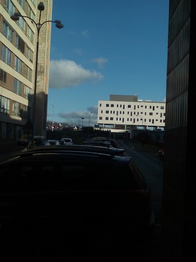Photos of University Hospital in Pilsen