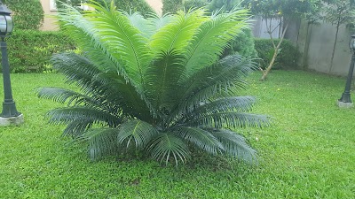 Photos of Auxano Gardens