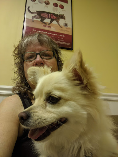 Bellevue Animal Hospital PC - Thumbnail