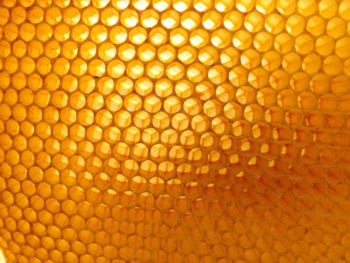 BienenKaiser - Thumbnail
