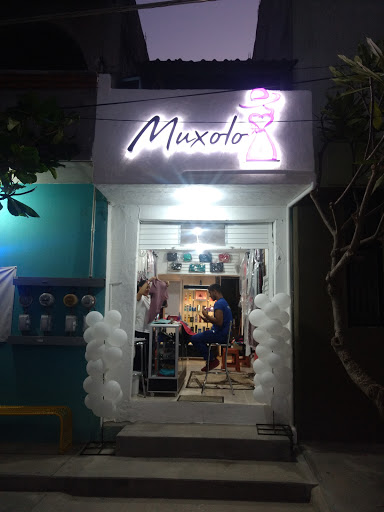 Muxolo - Visual