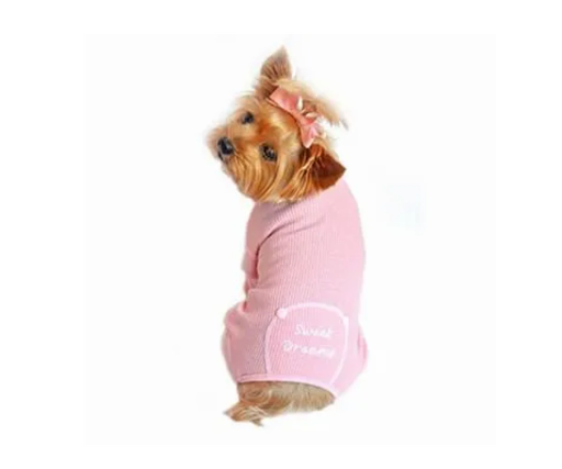 Pawsh™ - Visual