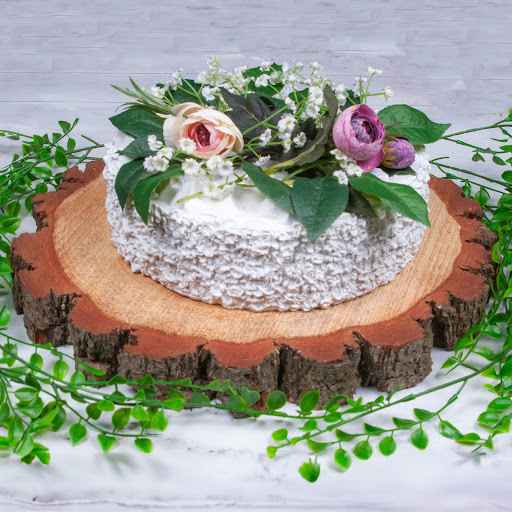 Wedding Forest - Visual