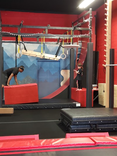 Ninjaville Obstacle Training