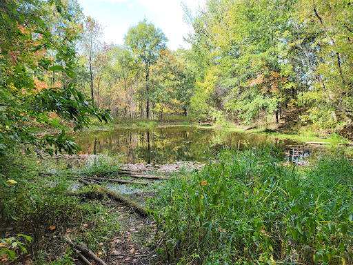 August A Busch Lake #7 Gallery - United States