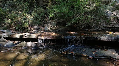 Newberry Wildlife Sanctuary