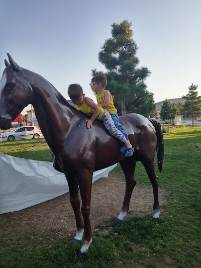 Namık Kemal Primary School Scout Park