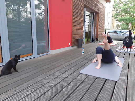 Pilates Berlin Adlershof - Thumbnail