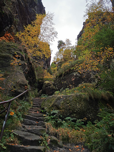 Nadelöhr - Thumbnail