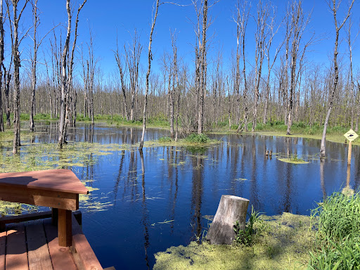 Beaver Hollow - Thumbnail