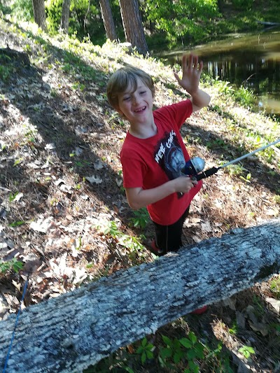 Gum Springs Campground and Picnic Area