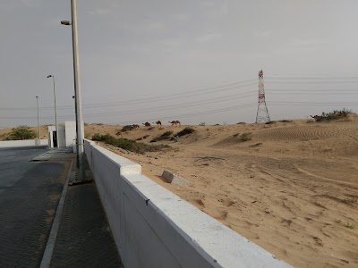 Photos of Enoc