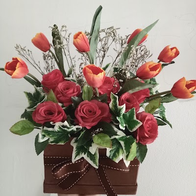 Photos of Amaryllis Flower & Gardening
